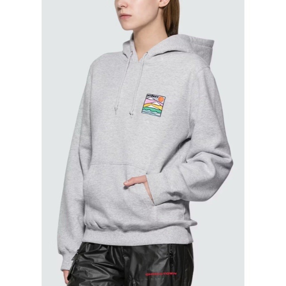 Stussy Sierra Women's Gray Pullover Logo Hoodie Sweatshirt S